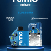 Blueberry 5000 by Fumo