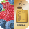 Blueberry Raspberry Fummo King SE 6000