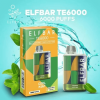 Elf Bar TE 6000 Cool Mint