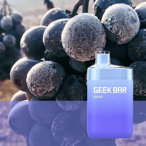 Grape Ice B5000 by Geek Bar 1