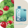 Sweet Cranberry Mint Fummo Spin 10000