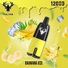 Banana Ice by Kalyan Pro 12000