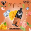 Peach Mango Ice by Kalyan Pro 12000